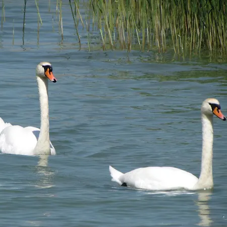 Club 218 Wellness Studio * شيوفوك